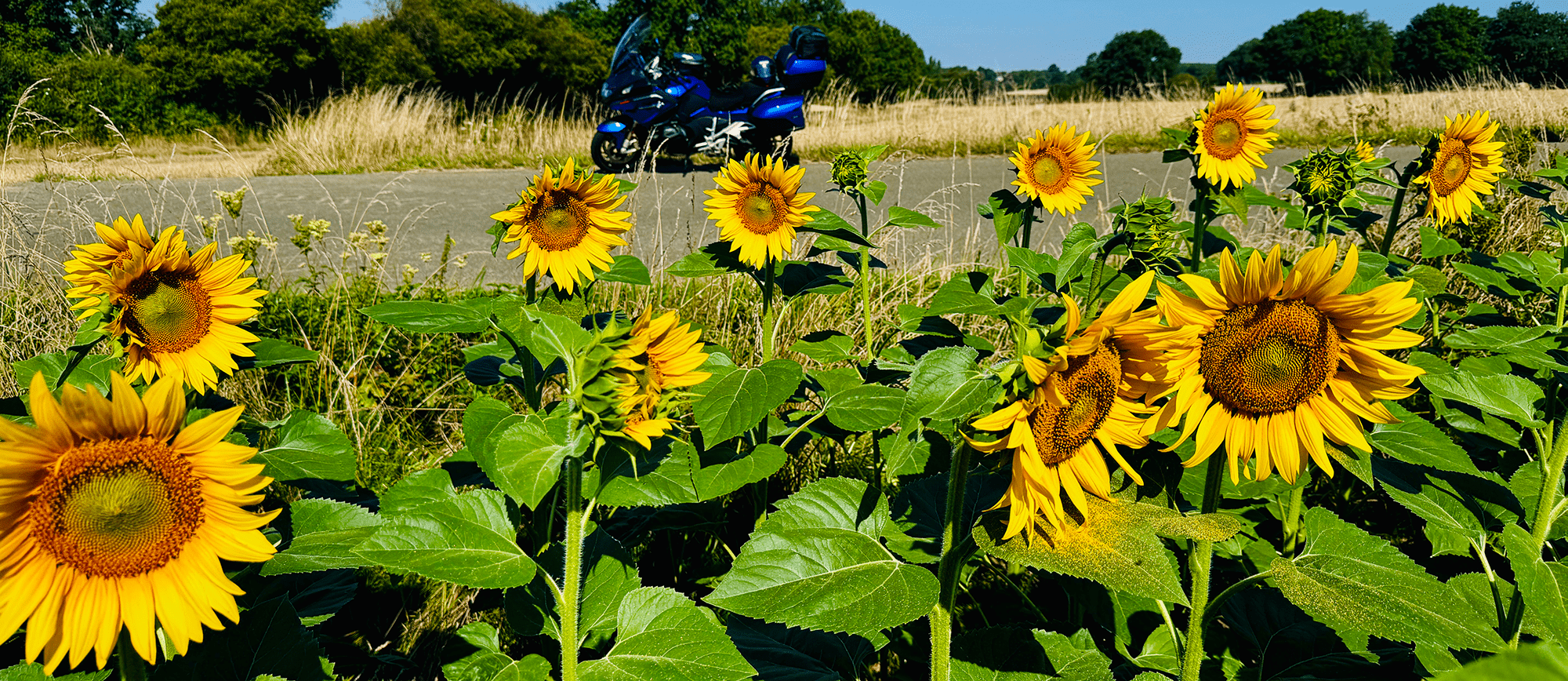 Motorbike Store - VirtualLight