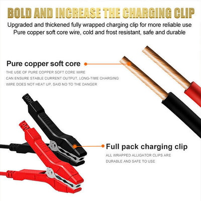 12V Intelligent Motorcycle Motorbike Car Battery Charger Automatic Smart Trickle - VirtualLightBike Waterproof Phone Holder