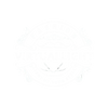 VirtualLight